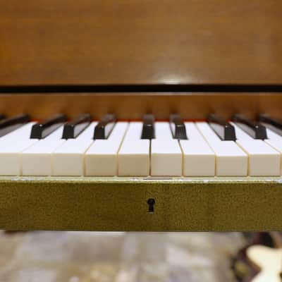 Hohner Pianet N 1965 - 1968 - Natural image 5