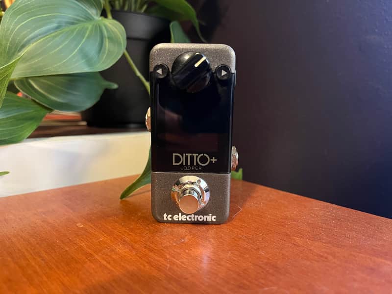 TC Electronic Ditto+ Looper