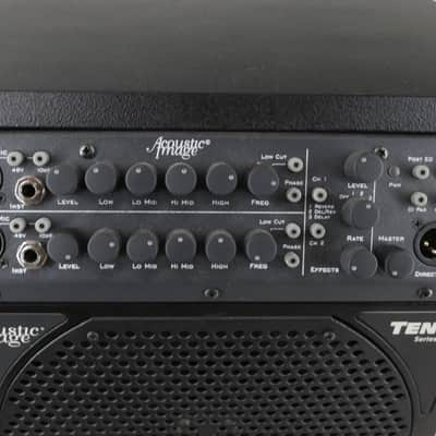 Acoustic Image Ten2 S4 631AA Double Bass Amp with Mooradian Bag image 3