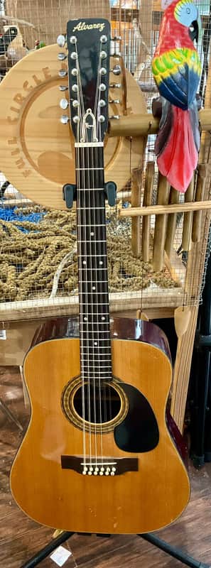 Alvarez 5021 12 String Acoustic Guitar image 1