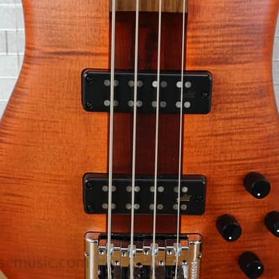 Spector Euro 4 RST - Sienna Stain image 6