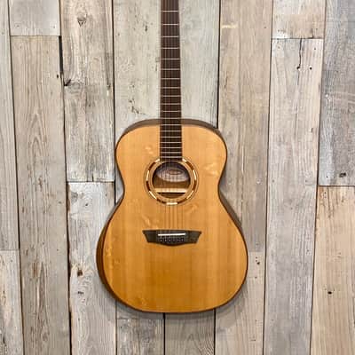 Sweet New Washburn WCG10SENS Acoustic/Electric Guitar, Help Support Small Business & Buy It Here image 2