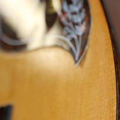 Rare Apollo Parlor No. 006 Acoustic Guitar With Hard Shell Case image 13