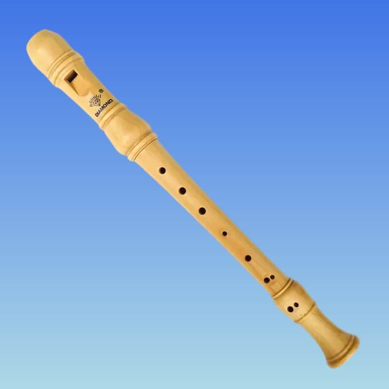 Soprano Recorder 8-Hole Treble Vertical Flute English Fingering image 1