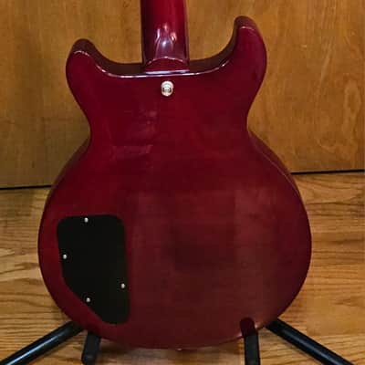 Epiphone Les Paul Special Mint Condition 2wks Old image 5