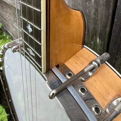 The Bacon Blue Ribbon Style A Tenor Banjo with Original Koverite Case Natural 1920s image 6