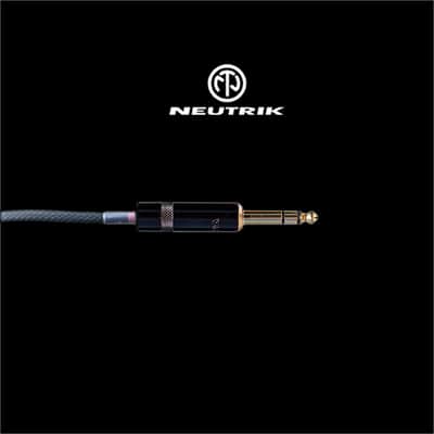 D-Sub Loom Mogami & Neutrik TRS Gold DB25 & Neutrik 1m Multicore Snake Analog Cable Loom 8 Channels image 4