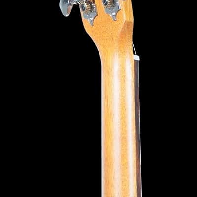 Ohana Model TK-20 All Mahogany Solid Top Tenor Ukulele + Gig Bag and More - BLEM image 9