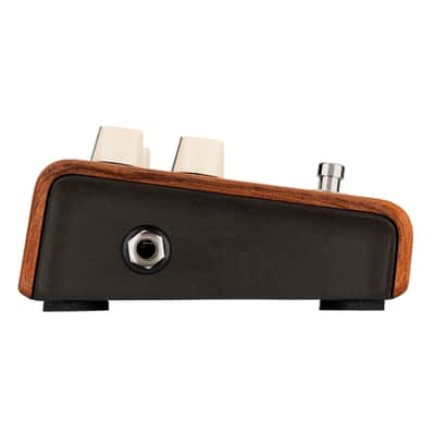 LR Baggs Align Series Reverb Acoustic-Electric Guitar Effects Pedal image 4