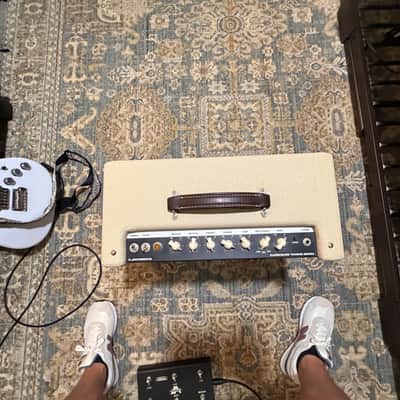 Fender Bassbreaker 15 Limited Edition 15-Watt 1x12" Guitar Combo 2010s - Blonde image 3