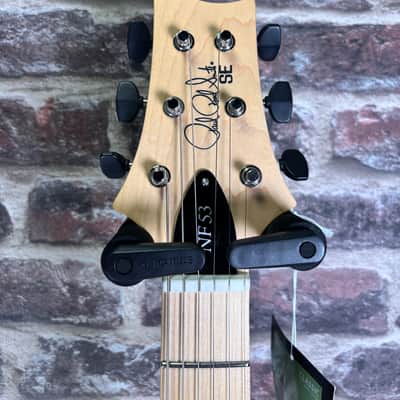 PRS SE NF 53 Doghair OCCASION image 4