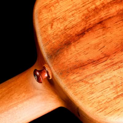 Tyde "Learner" Concert Ukulele image 7
