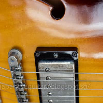 Greco SA-900 Super Real w/OHSC image 18