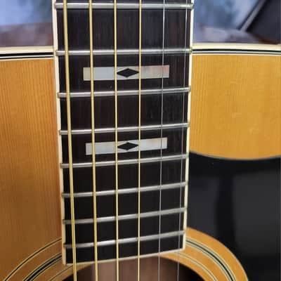 Video Demo Vintage 1977 Ibanez Model 2601 Artist Jumbo Dreadnought Pro Setup Soft Shell Case image 7