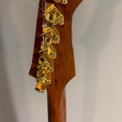 Gibson Firebird '76 Bicentennial 1976 Sunburst image 11