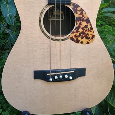 Five-String conversion of used Martin LXM guitar image 2