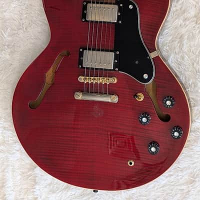 Epiphone Dot Deluxe Flame in red with an Epiphone hardshell case -Vintage Cherry image 4