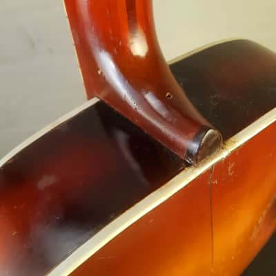 ♫ Otwin Cabinet C1955 - Violinbrown image 8