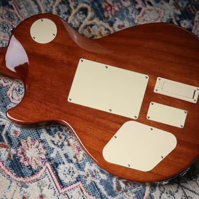 Epiphone Alex Lifeson Les Paul Standard Access Viceroy Brown image 5