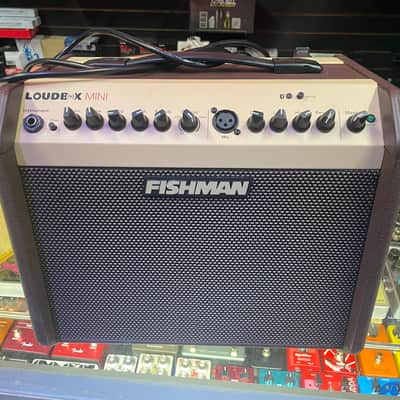 Fishman LOUDBOX MINI 60W Acoustic Guitar Combo Amplifier w/ Bluetooth - DEMO image 5