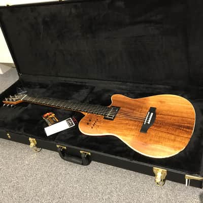 Godin Hardshell Case #007028 - Fits A6, A12, Encore, SA & Duet, Multiac Ambiance, ACS, & A11, A-6, A-12 image 4