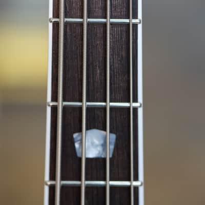 Kauer Draken Bass 2025 - Custom Flower Power image 8