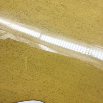 2023 Gibson Les Paul Special – TV Yellow image 17