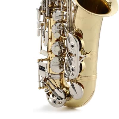 Selmer SAS301 Student Alto Saxophone - Lacquer image 1