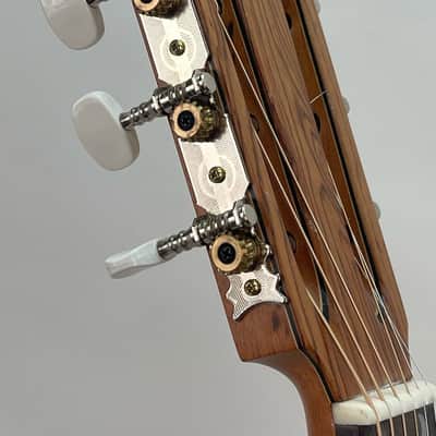 Superior Parlor Guitar 2022 Nitro Matte image 5