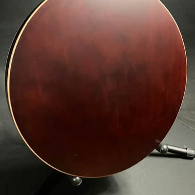 Recording King RK-R35-BR "Madison" Resonator Banjo with Bell Brass Tone Ring image 11