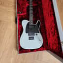 Fender Jim Root Telecaster Artist Series Signature Telecaster 2008 - Present - Flat White