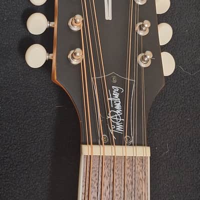Fender Tim Armstrong 12 String Hellcat Matte Acoustic/Electric Very Nice! image 8