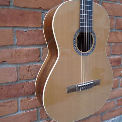 Godin Collection Nylon SF Guitar w/hard case image 2