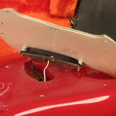 1969 Fender Swinger - Arrow - Musiclander Red image 19
