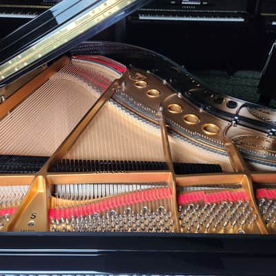 1963 Steinway S 5'1" Polished Ebony Grand Piano Rebuilt in Poland in 2024 * Free 1st floor Delivery in NJ! image 5