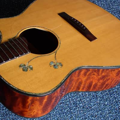 Lance Mccollum Grand Auditorium Tree Mahogany image 1