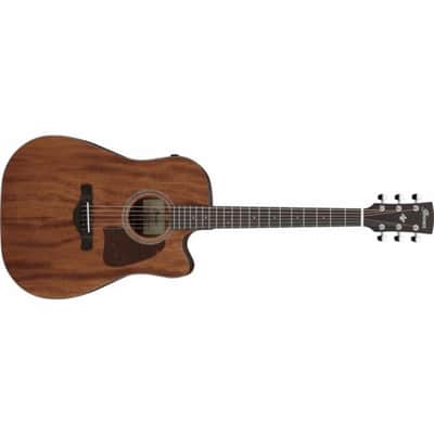 IBANEZ AW10 acoustic guitars