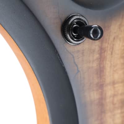 Wylde Audio Wrathmaker Left Handed Spalted Maple, Black Burst, Stage Ready (SR) (39019) image 7