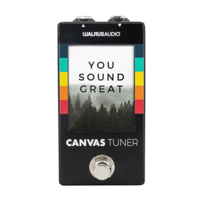 Walrus Audio Canvas Tuner - Tuner for Guitar image 3
