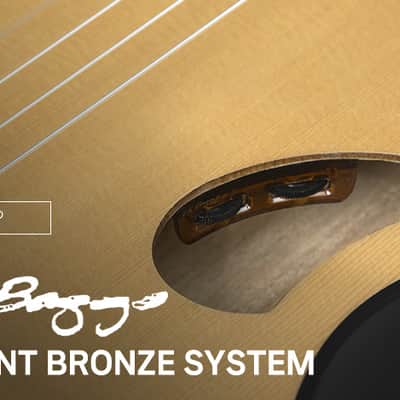 HEX Y500N S/NT Chambered Body Classical Nylon Guitar LR Baggs Element Bronze VTC image 6
