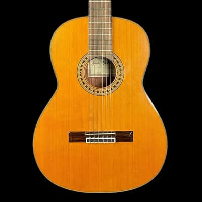 Joan Cashimira 56E Classical in Natural w/ Crocodile Style Hardcase image 1