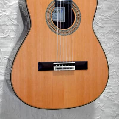 Esteve Alegria crossover cutaway / lattice braced / cedar top/48 mm nut width image 2