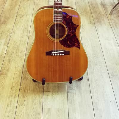 GIBSON SJN COUNTRY WESTERN 1965 FORMERLY OWNED BY COLDPLAY image 6
