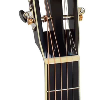 Santa Cruz Catfish Special O Model image 5