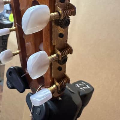 Giannini Serie Estudo Acoustic Guitar - Brazil image 12