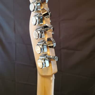 Thomas Muse Guitars Valkat-0004 2020 Western Red Cedar / Birdseye Maple and Mahogany / HH image 12
