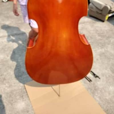 Samuel Eastman VB80 1/4 size acoustic bass 2013 amber image 6
