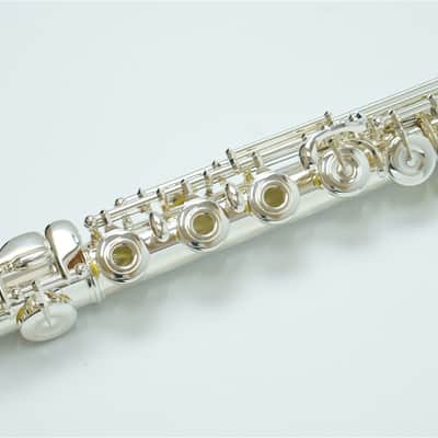 Muramatsu Handmade Flute EXⅢ-RCE C foot, Open hole, E mechanism image 8