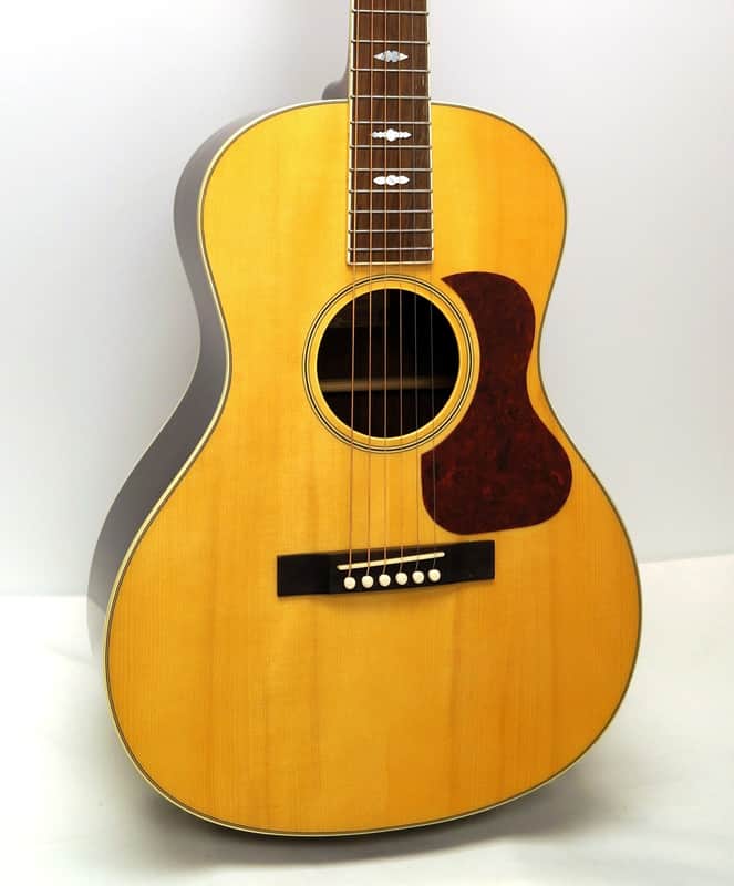 Recording King RNJ-17-NA Greenwich Village 13th Fret Acoustic