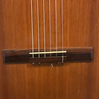 Vantek VIC-1 Classical Acoustic Guitar image 5